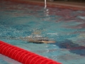 IMG_2739 (800x533)