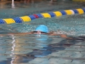 IMG_2743 (800x533)