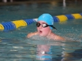 IMG_2746 (800x533)