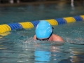 IMG_2747 (800x533)