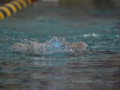 IMG_2752 (800x533)