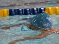 IMG_2768 (800x533)