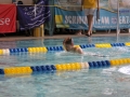 IMG_2777 (800x533)