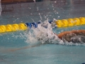 IMG_2808 (800x533)