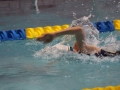 IMG_2809 (800x533)