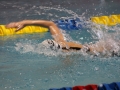 IMG_2810 (800x533)