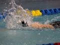 IMG_2811 (800x533)