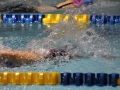 IMG_2812 (800x533)