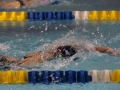 IMG_2815 (800x533)