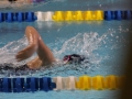 IMG_2816 (800x533)