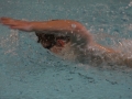 IMG_2836 (800x533)