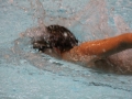 IMG_2837 (800x533)