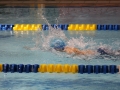 IMG_2845 (800x533)