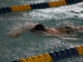 IMG_2846 (800x533)