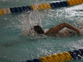 IMG_2847 (800x533)
