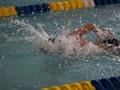 IMG_2848 (800x533)