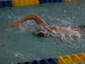 IMG_2849 (800x533)