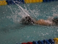 IMG_2850 (800x533)