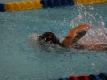 IMG_2851 (800x533)