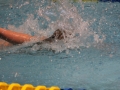 IMG_2855 (800x533)