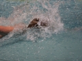 IMG_2857 (800x533)