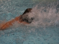 IMG_2858 (800x533)