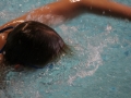 IMG_2865 (800x533)