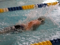 IMG_2867 (800x533)