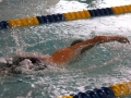 IMG_2868 (800x533)