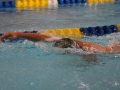 IMG_2869 (800x533)