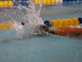IMG_2870 (800x533)