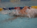 IMG_2871 (800x533)
