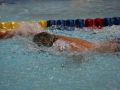 IMG_2872 (800x533)