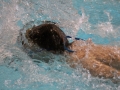IMG_2873 (800x533)