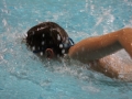 IMG_2874 (800x533)
