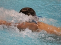 IMG_2875 (800x533)