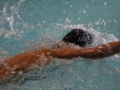 IMG_2885 (800x533)