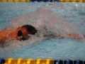 IMG_2886 (800x533)