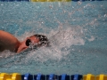 IMG_2887 (800x533)