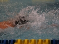 IMG_2888 (800x533)