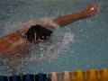 IMG_2890 (800x533)