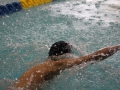 IMG_2891 (800x533)