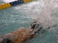 IMG_2892 (800x533)