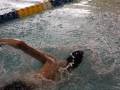 IMG_2893 (800x533)