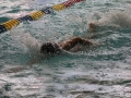 IMG_2895 (800x533)