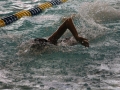 IMG_2896 (800x533)