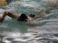 IMG_2897 (800x533)