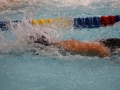 IMG_2898 (800x533)