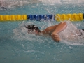 IMG_2899 (800x533)