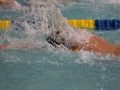 IMG_2900 (800x533)